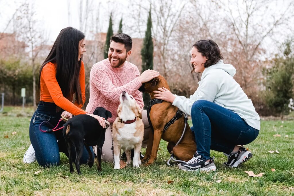 8 reasons why your vet should probably prescribe dog medication