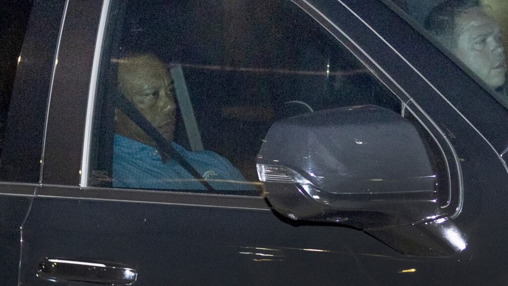 Police DUI crash arrest affidavit says Tiger Woods had opioids Police DUI crash arrest affidavit says Tiger Woods had opioids