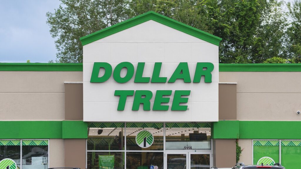 Quality Dollar Tree Groceries Worth Buying