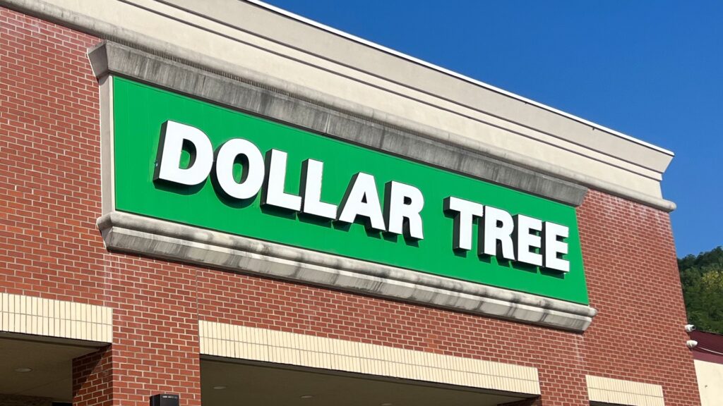 7 Dollar Tree Spring Must Buys for Retirees
