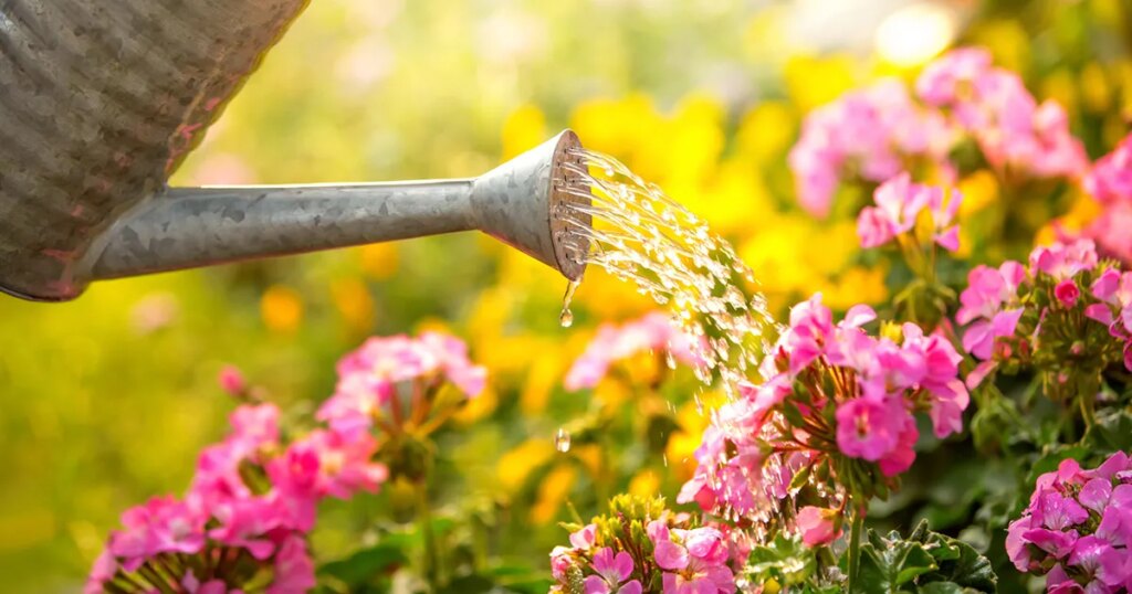 Americans’ financial optimism rises, but concerns remain Americans' financial optimism rises, but concerns remain