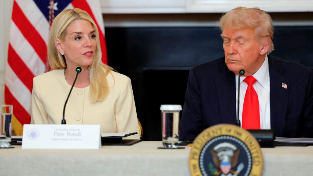 Lee Zeldin believes Trump fired Attorney General Pam Bondi