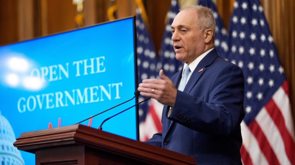 Republicans can still win the House in 2026 elections: Scalise