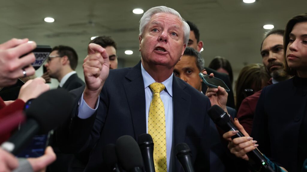 Senate Republicans unveil immigration funding framework
