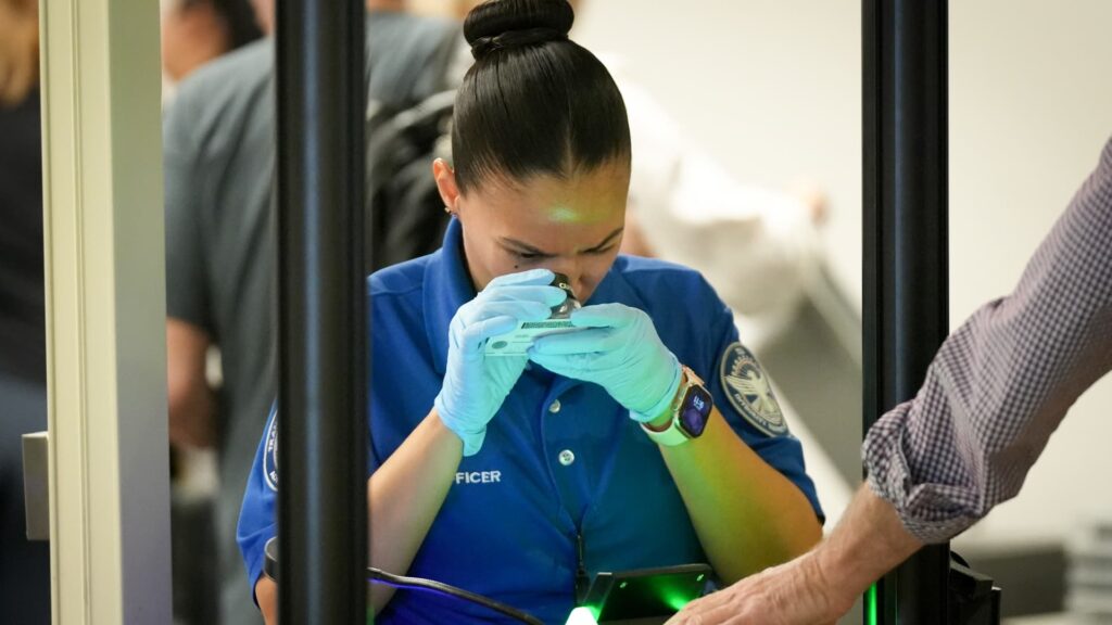 Trump is paying TSA agents — but where's the money coming from?