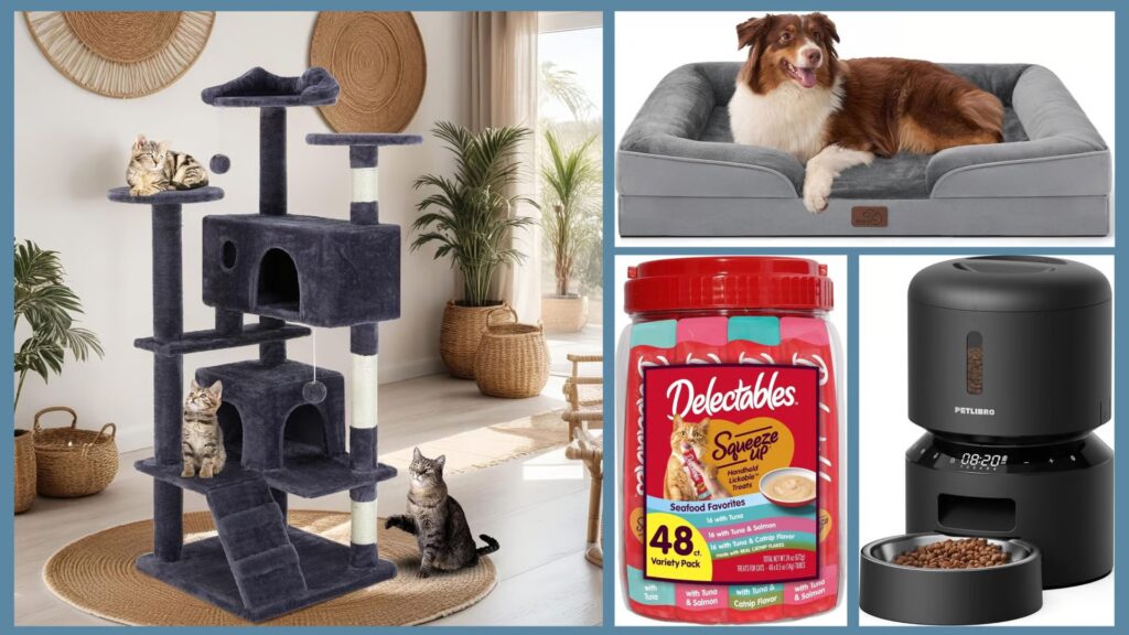 When is the 2026 Amazon Pet Day Sale? Get dates, early deals, details