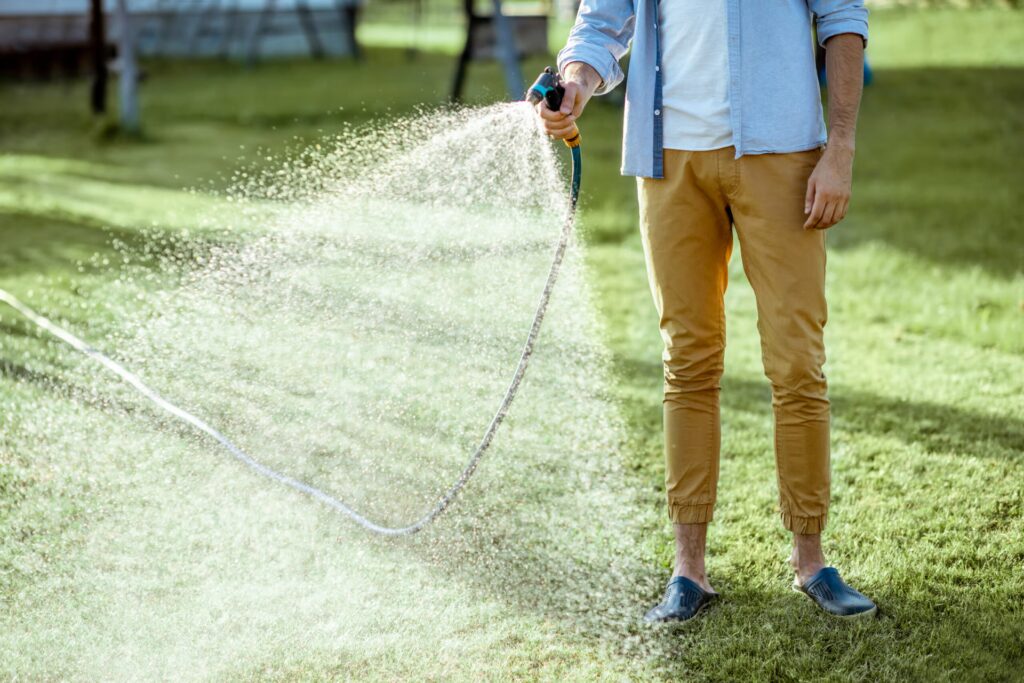 10 signs overwatering is the last thing your lawn needs