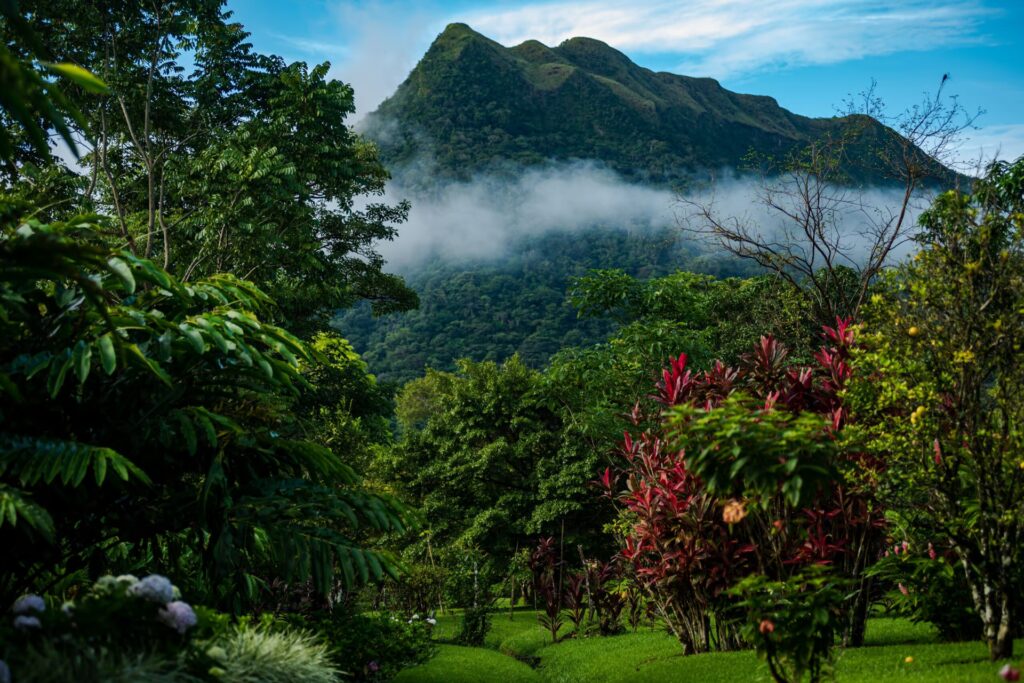 8 Tips for Establishing a New Life in Small-Town Panama