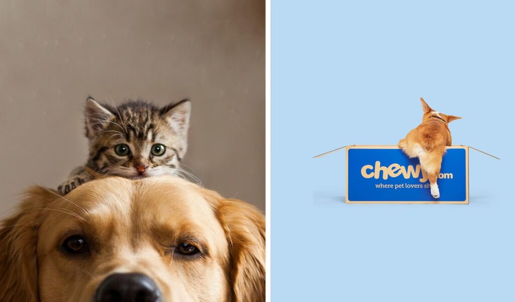 Chewy is giving new customers a $20 gift card with their first order