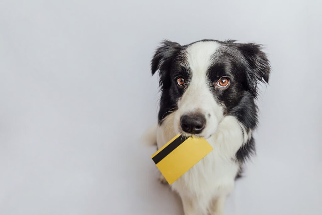How many credit cards should you have? 5 questions that reveal the correct number