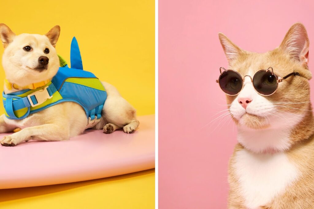 Save 10% Sitewide During Petco's Memorial Day Sale