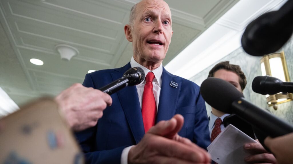 Senators announce ban on MPs from becoming lobbyists