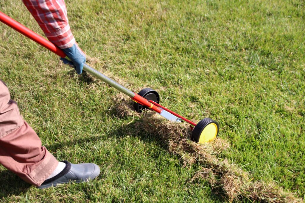 The Best Way to Dethatch and Aerate Your Lawn (And the Correct Order to Do Both)