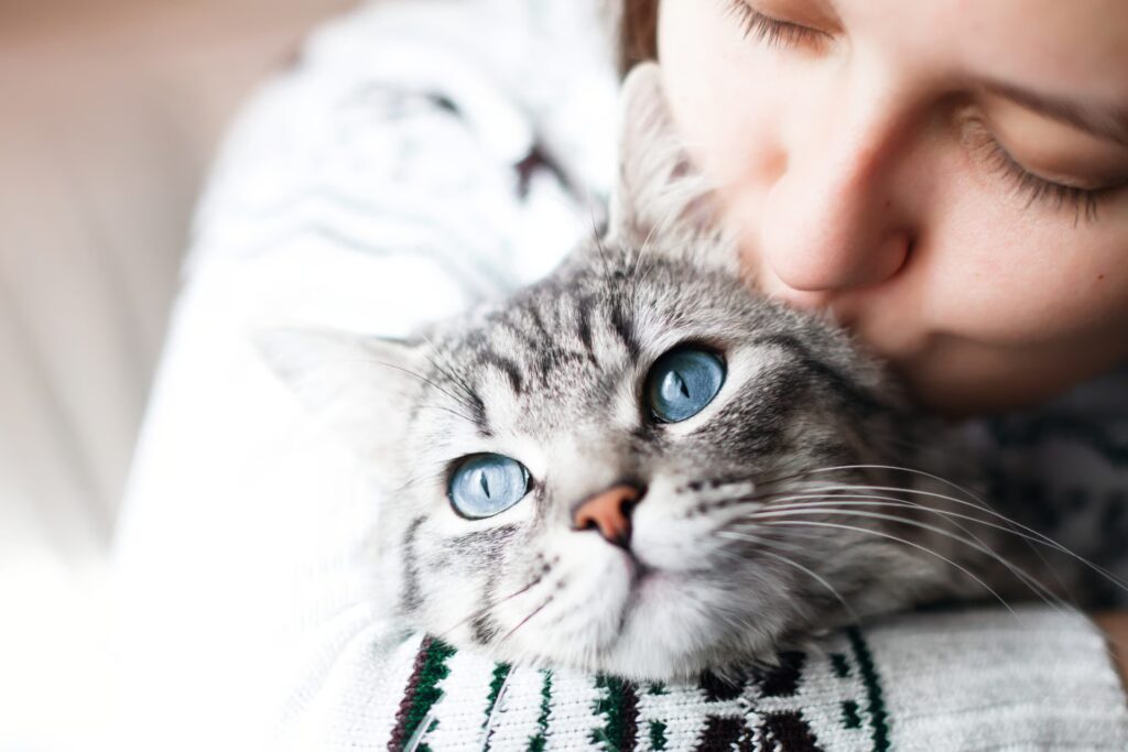 Top Ways to Save with DIY Cat Toys and Gifts