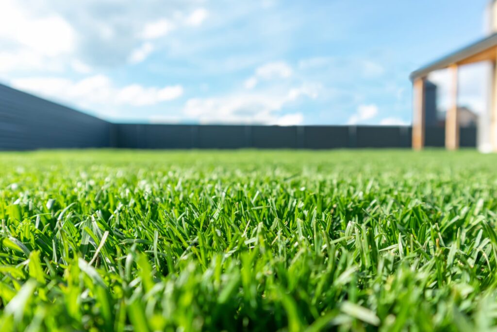 Watering your lawn 4 times a day does more harm than good