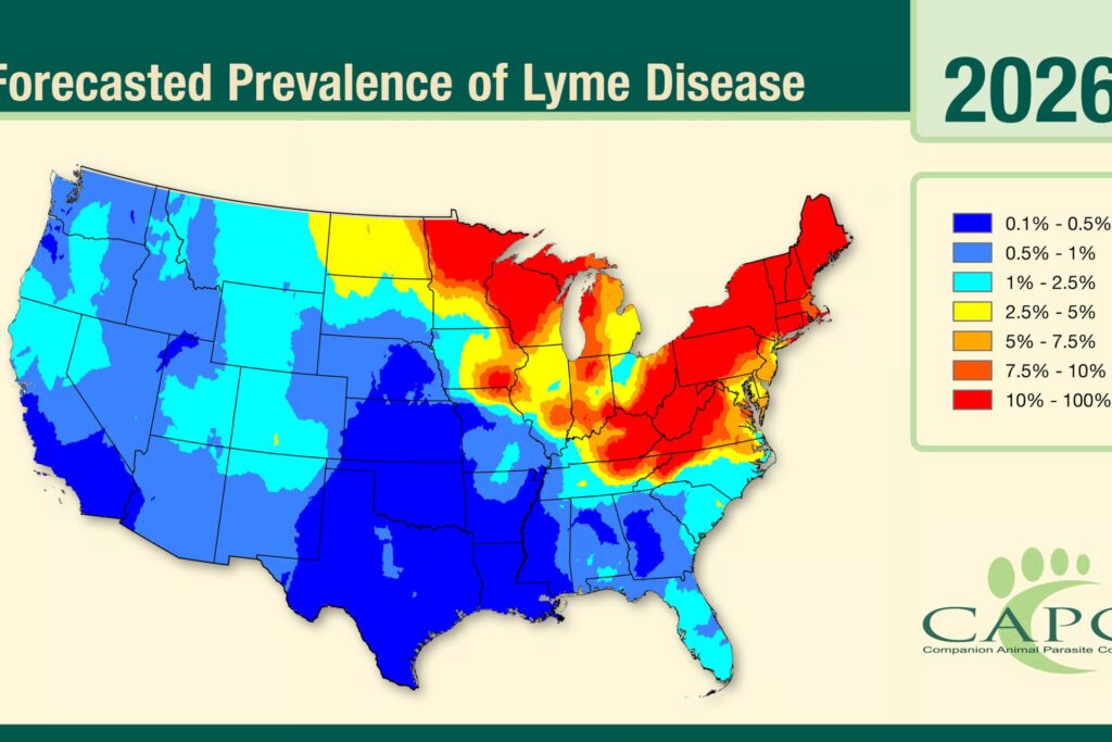 Why this tick season could be the worst in a decade? Why this tick season could be the worst in a decade?