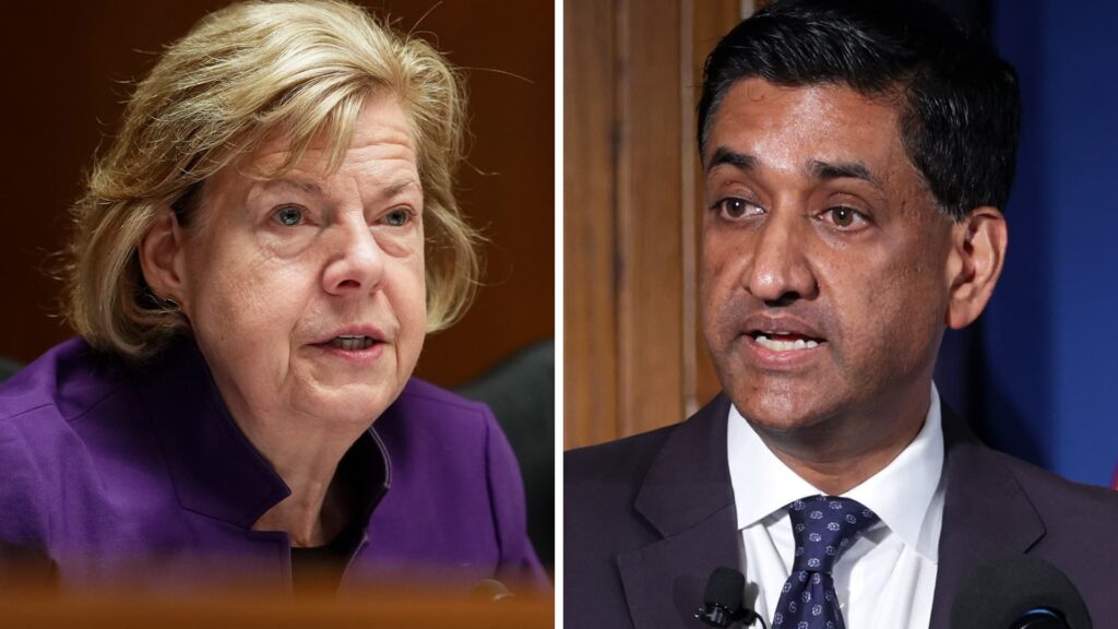 Baldwin, Khanna propose Foreign Direct Investment Board to investigate Trump Baldwin, Khanna propose Foreign Direct Investment Board to investigate Trump