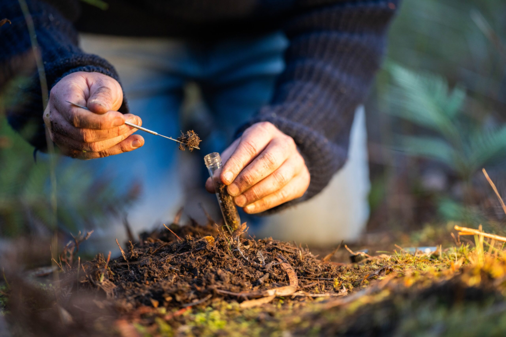 How to Prepare a Lawn Soil Sample in 5 Simple Steps for Best Results How to Prepare a Lawn Soil Sample in 5 Simple Steps for Best Results