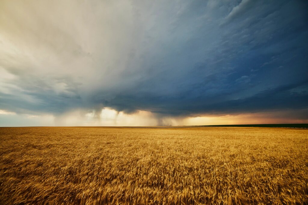 WEAT: Wheat Commodity Exposure through a Passive Futures Strategy (NYSEARCA:WEAT) WEAT: Wheat Commodity Exposure through a Passive Futures Strategy (NYSEARCA:WEAT)